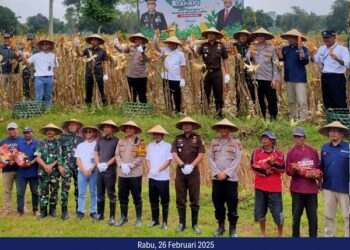 PANEN RAYA JAGUNG SECARA SERENTAK TAHAP I DALAM RANGKA MENDUKUNG SWASEMBADA PANGAN TAHUN 2025