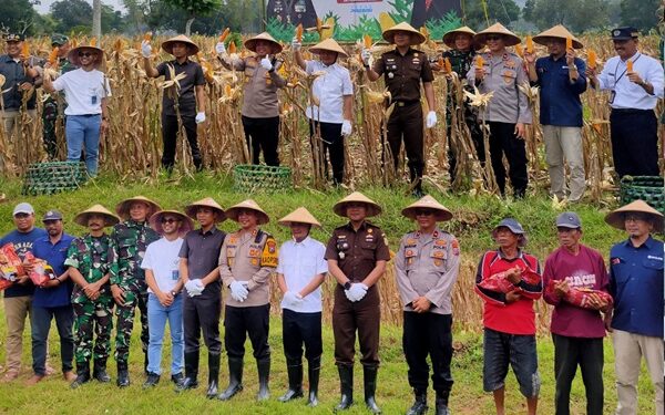 PANEN RAYA JAGUNG SECARA SERENTAK TAHAP I DALAM RANGKA MENDUKUNG SWASEMBADA PANGAN TAHUN 2025