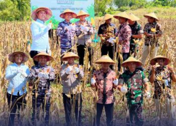 PANEN RAYA JAGUNG SERENTAK KUARTAL II DALAM RANGKA MENDUKUNG SWASEMBADA PANGAN TAHUN 2025