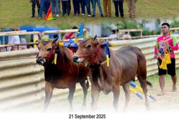 KERAPAN SAPI PIALA BUPATI BANGKALAN 2025